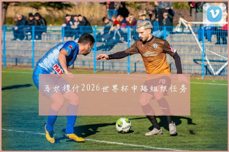 马尔穆什2026世界杯中路组织任务