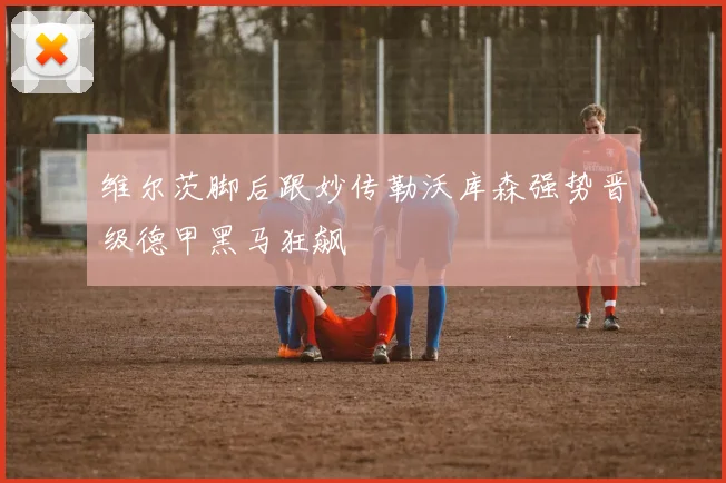 维尔茨脚后跟妙传勒沃库森强势晋级德甲黑马狂飙