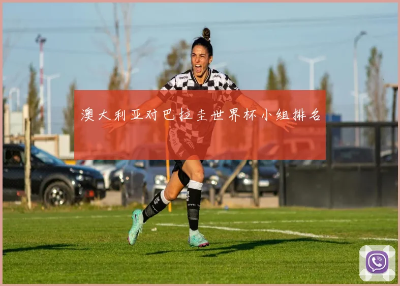 澳大利亚对巴拉圭世界杯小组排名