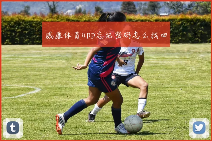 威廉体育app忘记密码怎么找回