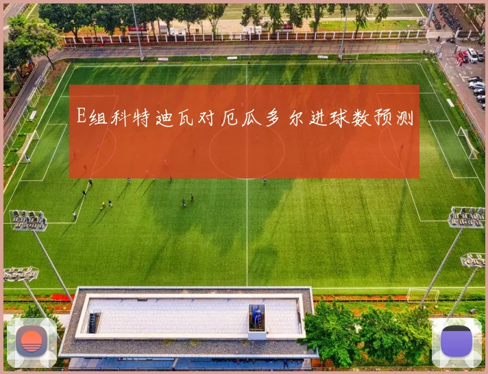E组科特迪瓦对厄瓜多尔进球数预测