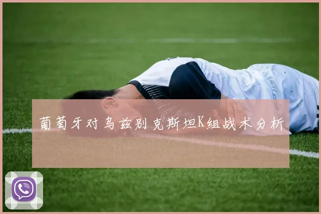 葡萄牙对乌兹别克斯坦K组战术分析