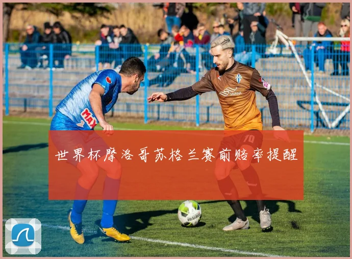 世界杯摩洛哥苏格兰赛前赔率提醒