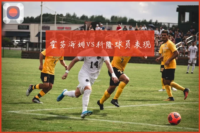 霍芬海姆vs科隆球员表现